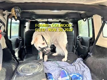 GONE TO SHELTER - COLWOOD BC. / NOV. 30, 2022