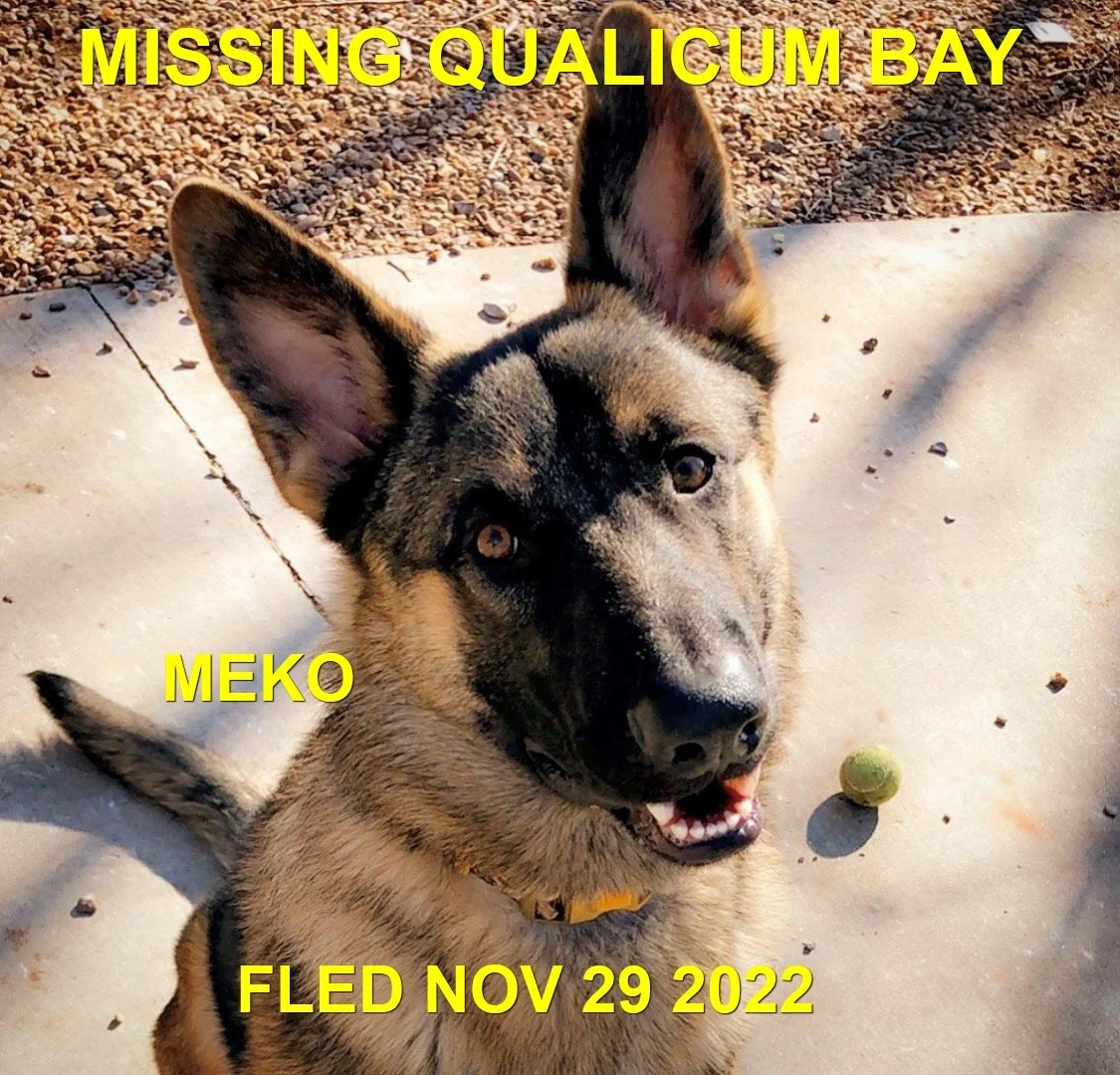 HAPPY ENDINGS - QUALICUM BAY BC. / MEKO / NOV. 29, 2022