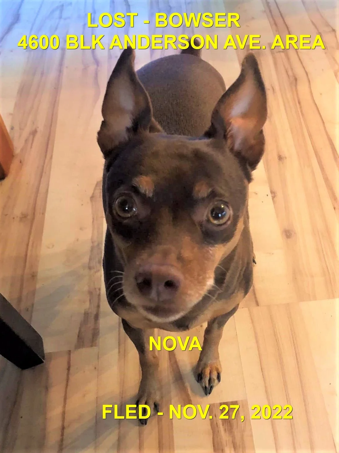 HAPPY ENDINGS - BOWSER BC. / NOVA / NOV. 27, 2022