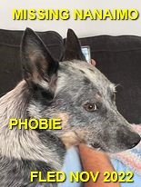 HAPPY ENDINGS - NANAIMO BC. / PHOBIE / NOV. 27, 2022