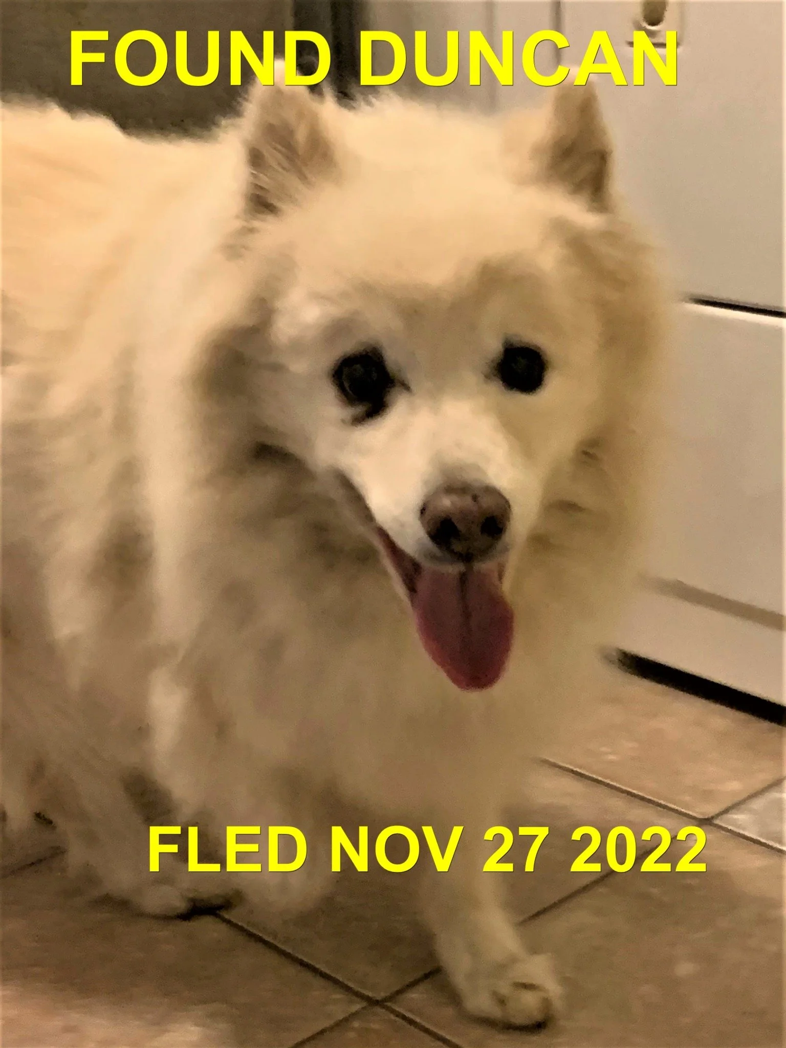 HAPPY ENDINGS - DUNCAN BC. / FROSTY / NOV. 27, 2022