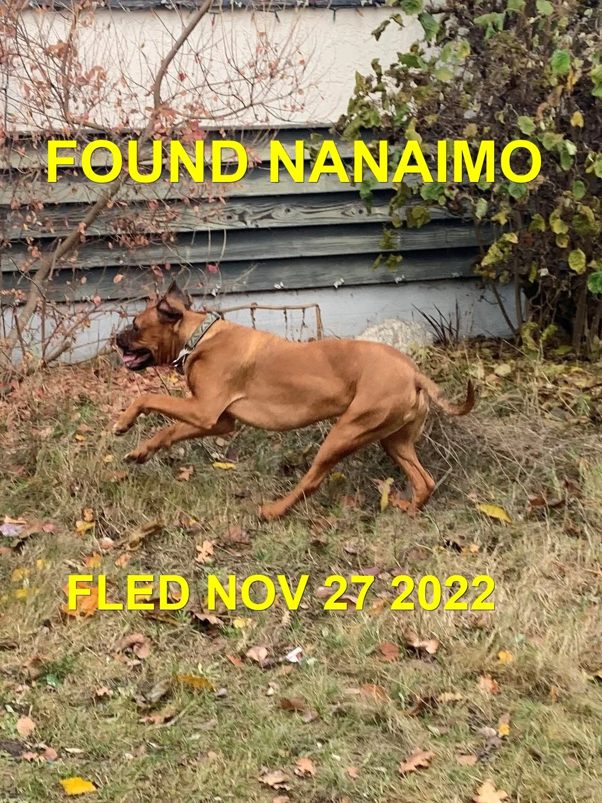 GONE TO SHELTER - NANAIMO BC. / NOV. 27, 2022