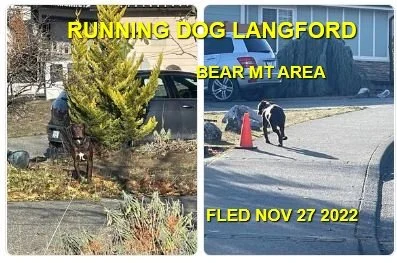 HAPPY ENDINGS - LANGFORD BC. / NOV. 27, 2022