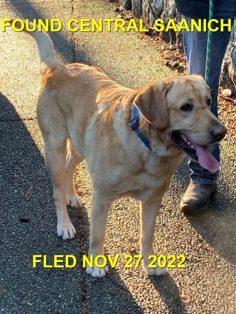 HAPPY ENDINGS - CENTRAL SAANICH BC. / NOV. 27, 2022