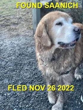 HAPPY ENDINGS - SAANICH BC. / NOV. 27, 2022