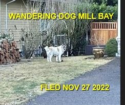 HAPPY ENDINGS - MILL BAY BC. / NOV. 27, 2022