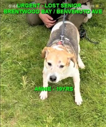 HAPPY ENDINGS - BRENTWOOD BAY BC. / ANNIE (19 YRS) / DEC. 12, 2022