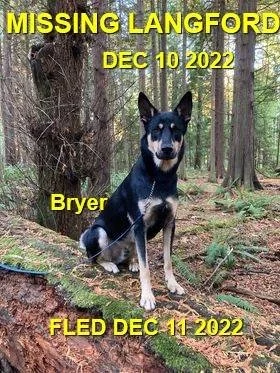 HAPPY ENDINGS - LANGFORD BC / BRYER / DEC. 12, 2022