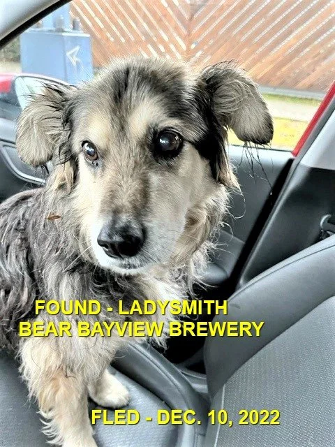 HAPPY ENDINGS - LADYSMITH BC. / DEC. 10, 2022