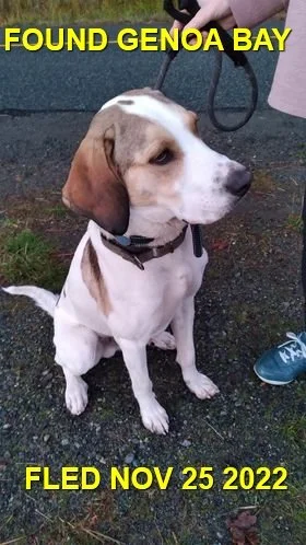 HAPPY ENDINGS - DUNCAN BC. / NOV. 24, 2022