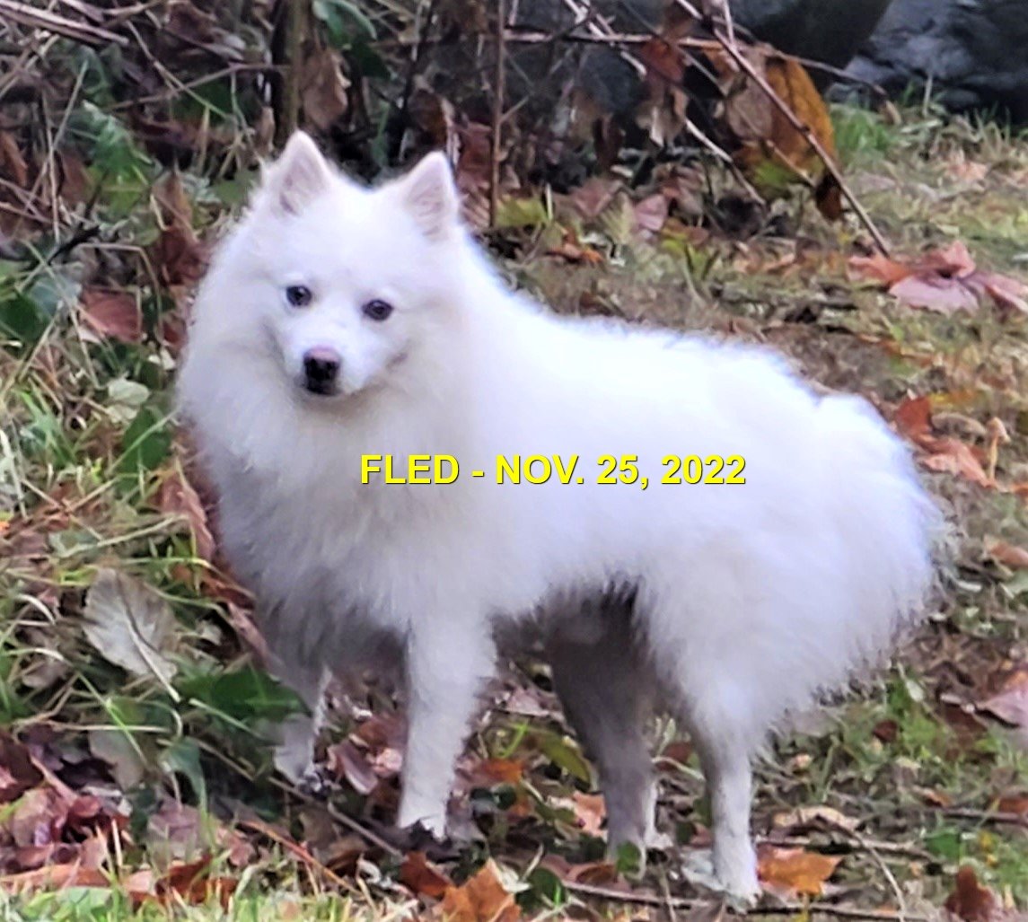 HAPPY ENDINGS - SOOKE BC. / NOV. 25, 2022