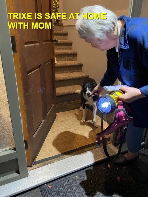 HAPPY ENDING / WENT HOME ON HER OWN - LADYSMITH BC. / NOV. 24, 2022