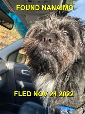 HAPPY ENDINGS - NANAIMO BC. / NOV. 24, 2022