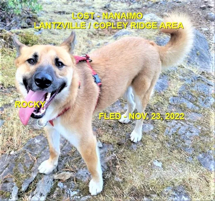 HAPPY ENDINGS - NANAIMO BC. / ROCKY / NOV. 22, 2022