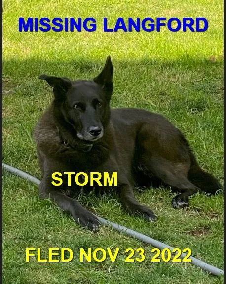 HAPPY ENDINGS - LANGFORD BC. / STORM / NOV 23, 2022