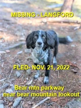 HAPPY ENDINGS - LANGFORD BC. / TWYLA / NOV. 21, 2022