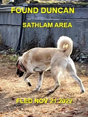 HAPPY ENDINGS - DUNCAN BC. / NOV. 21, 2022