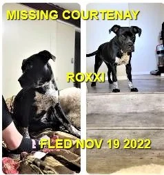 HAPPY ENDINGS - COURTENAY BC. / ROXXI / NOV. 19, 2022