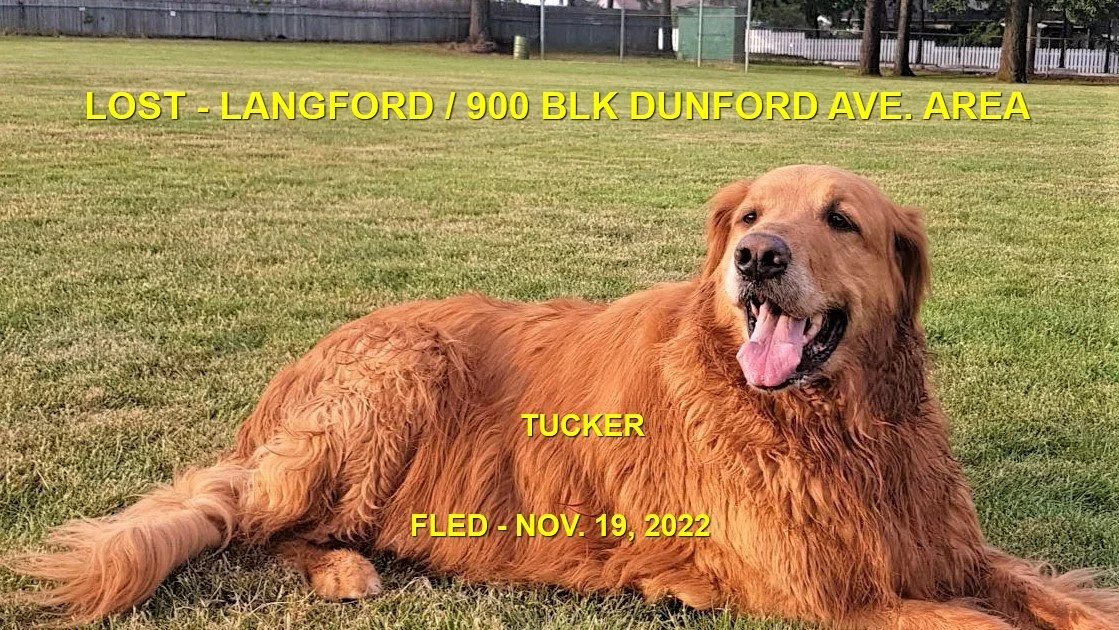 GONE TO SHELTER / HAPPY ENDINGS - LANGFORD BC. / TUCKER / NOV. 19, 2022