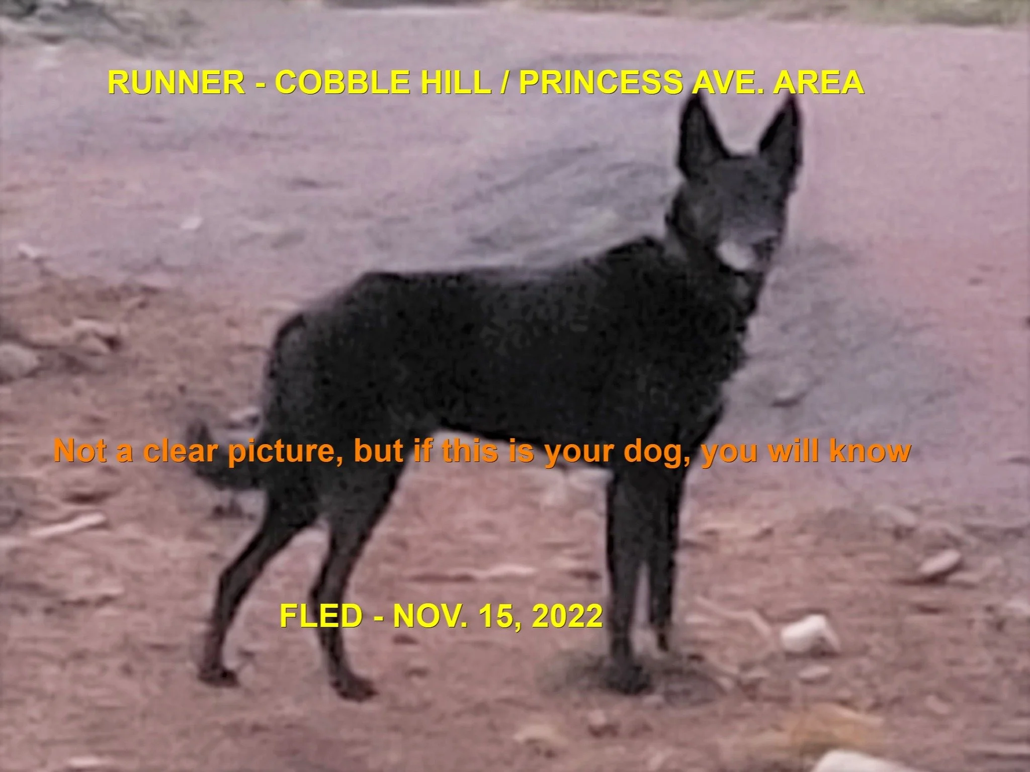 UNRESOLVED - COBBLE HILL BC. / NOV. 15, 2022