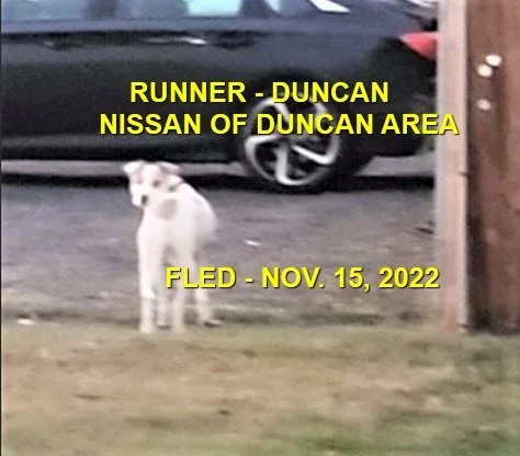 UNRESOLVED - DUNCAN BC. / NOV. 15, 2022