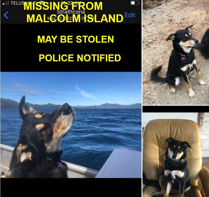 HAPPY ENDINGS - MALCOLM ISLAND BC / SOLA / NOV. 4, 2022