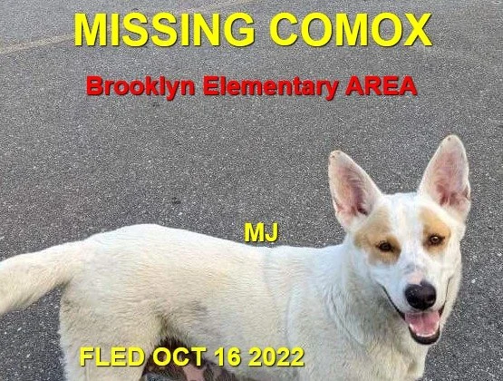 HAPPY ENDINGS - COMOX BC.  / MJ / OCT. 16, 2022