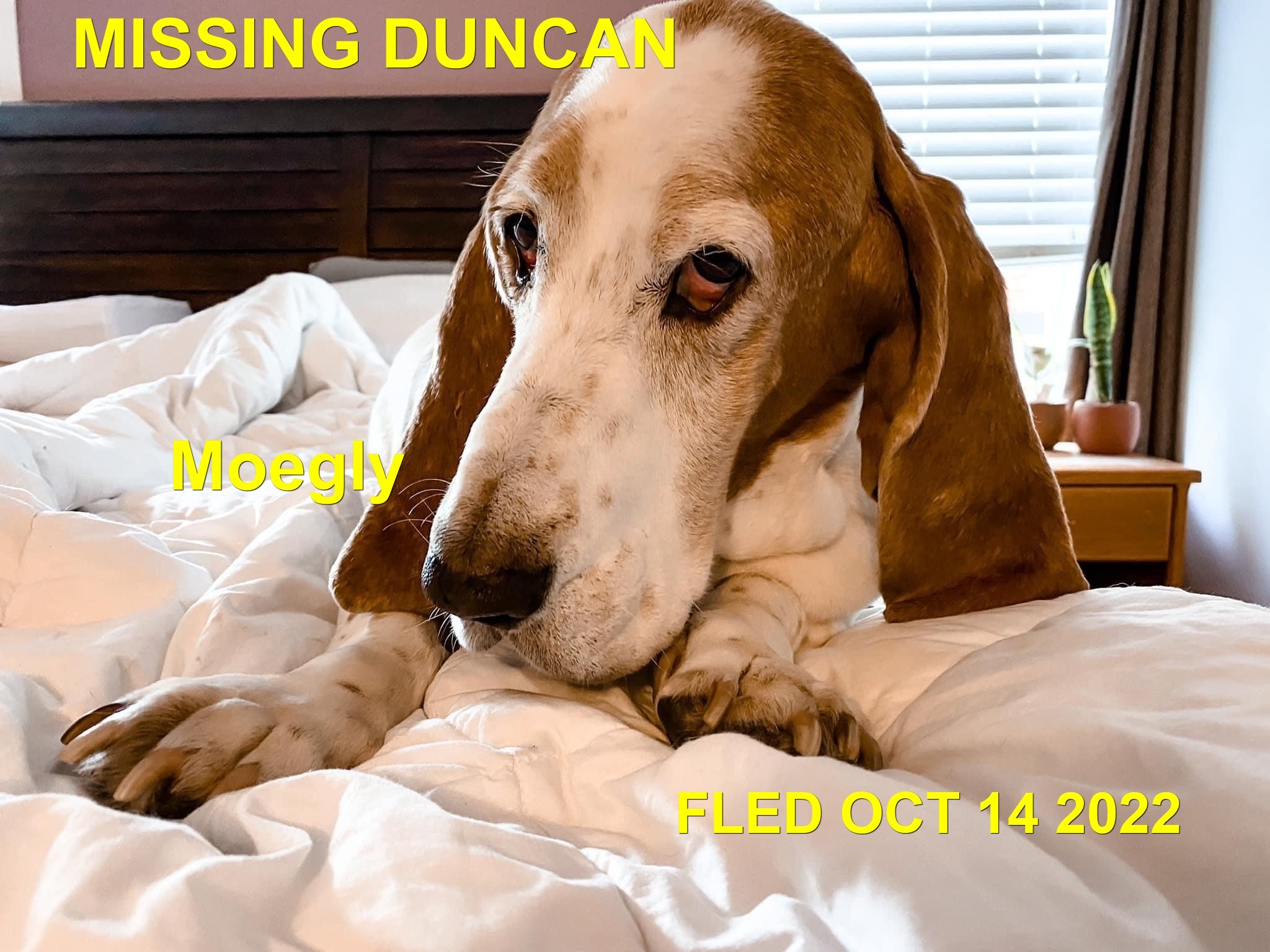 HAPPY ENDINGS - DUNCAN BC. / MOEGLY / SEPT. 13, 2022