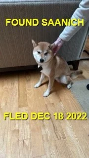 HAPPY ENDINGS - SAANICH BC. / DEC. 18, 2022