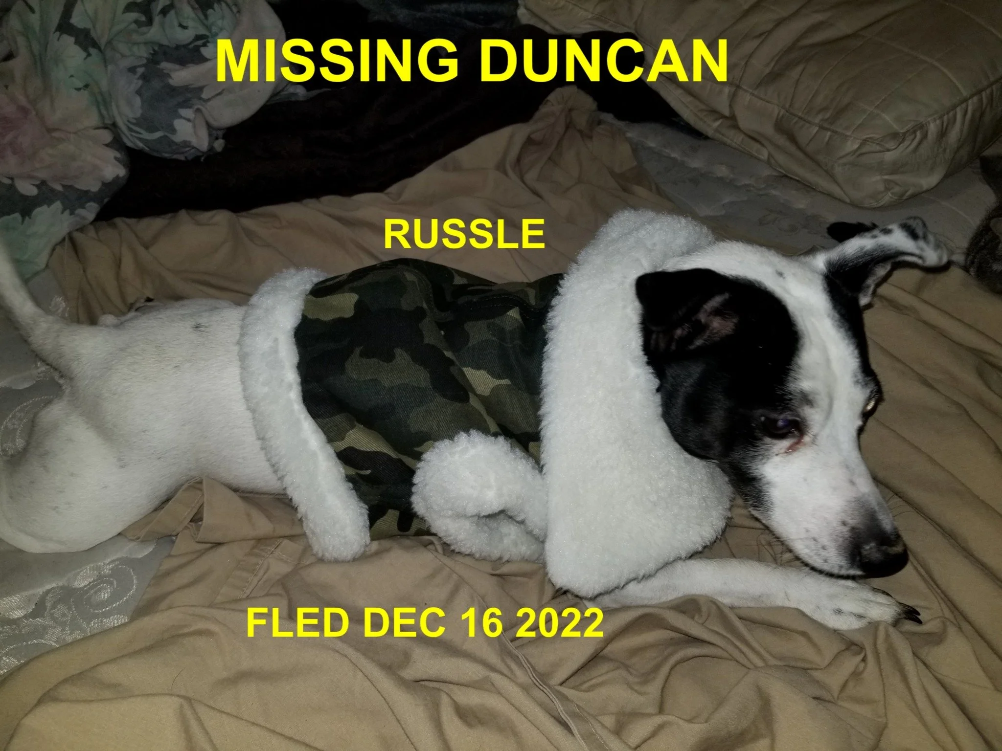 HAPPY ENDINGS - DUNCAN BC. / RUSSLE / DEC. 16, 2022