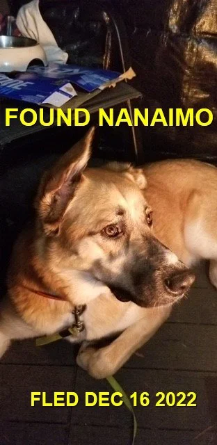 HAPPY ENDINGS - NANAIMO BC. / DEC. 15, 2022