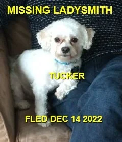 CAME HOME ON OWN - LADYSMITH BC / TUCKER / DEC. 14, 2022
