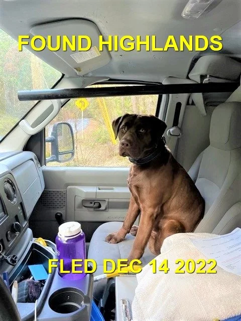 GONE TO SHELTER - HIGHLANDS BC. / DEC. 14, 2022