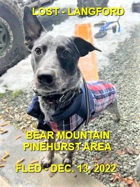 HAPPY ENDINGS - LANGFORD BC (BEAR MT.) / TRUCKEE / DEC. 13, 2022