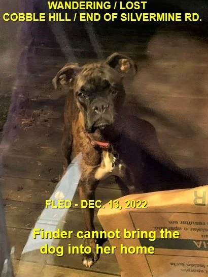 WENT HOME ON OWN - COBBLE HILL BC. / DEC. 13, 2022