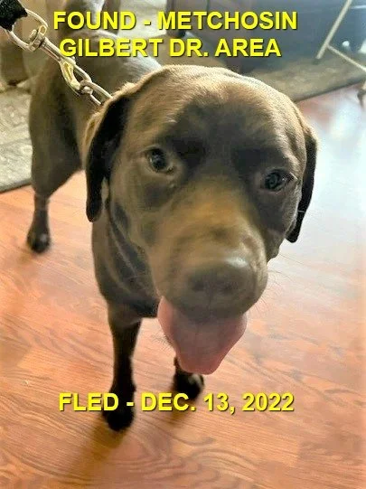 HAPPY ENDINGS - METCHOSIN BC. / DEC. 13, 2022