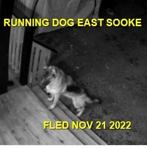 UNRESOLVED - EAST SOOKE BC. / NOV. 21, 2022
