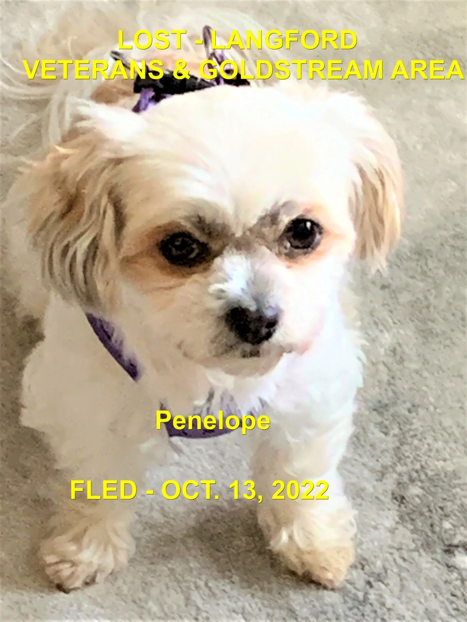 HAPPY ENDINGS - LANGFORD BC. / PENELOPE / OCT 13, 2022