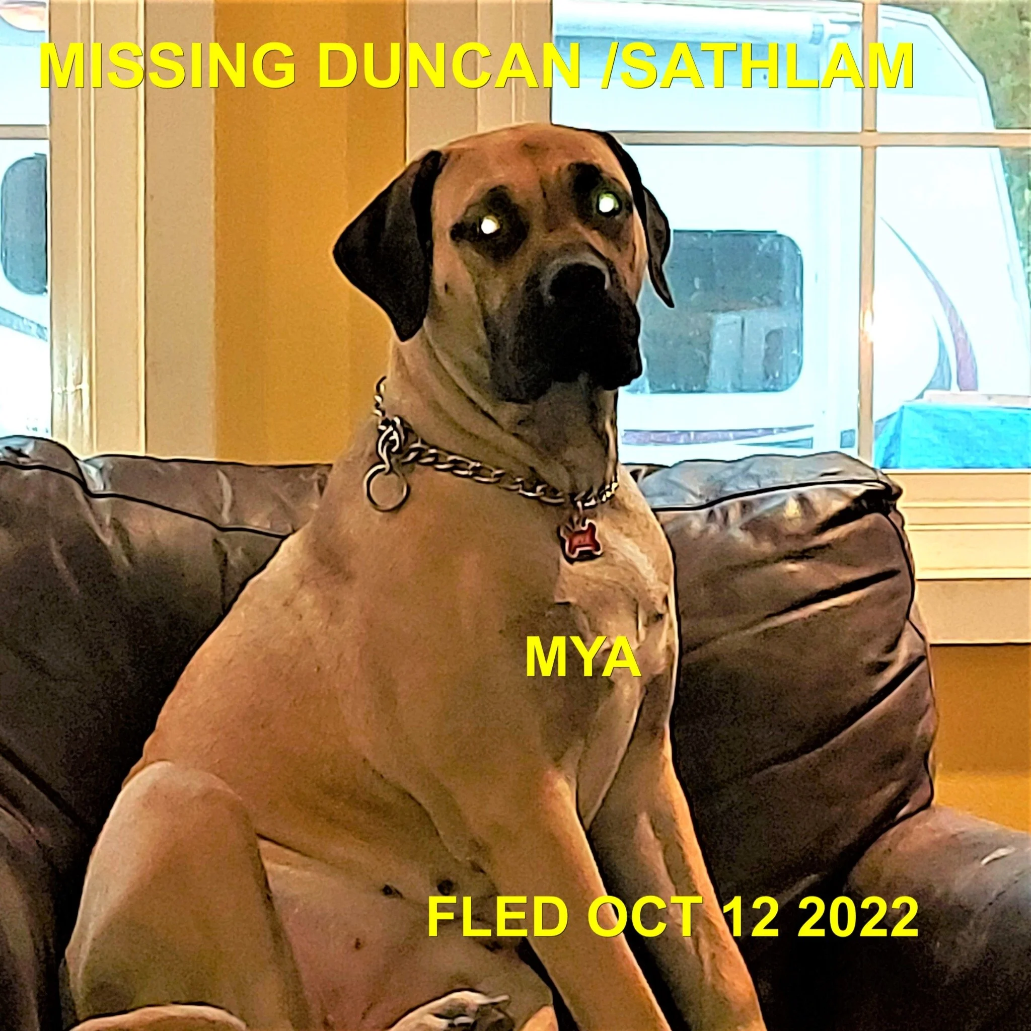 HAPPY ENDINGS - DUNCAN BC. / MYA / OCT. 12, 2022