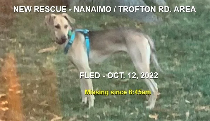 HAPPY ENDINGS - NANAIMO BC. / KENNY / OCT. 11, 2022