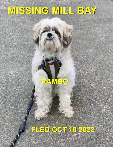 STILL MISSING - MILL BAY BC. / RAMBO / OCT. 8, 2022