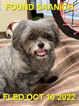 HAPPY ENDINGS - SAANICH BC. / MISTY / OCT 10, 2022