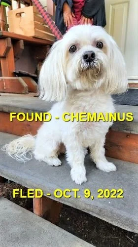 HAPPY ENDINGS - CHEMAINUS BC. / OCT. 9, 2022