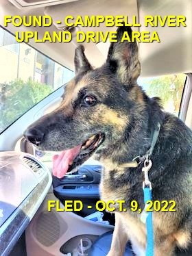 HAPPY ENDINGS - CAMPBELL RIVER BC. / OCT. 9, 2022