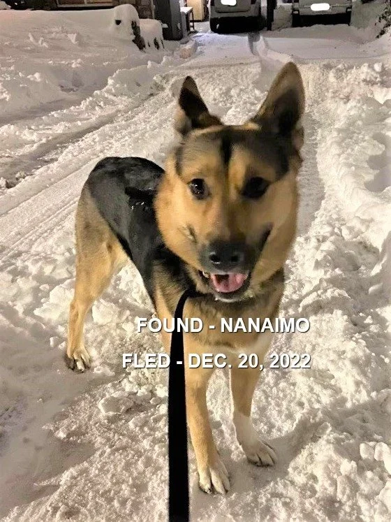 HAPPY ENDINGS - NANAIMO BC. / DEC. 20, 2022