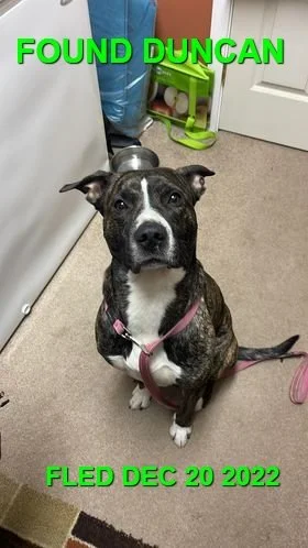 HAPPY ENDINGS - DUNCAN BC. / DEC. 20, 2022