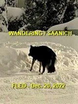 UNRESOLVED - SAANICH BC. / DEC. 20, 2022