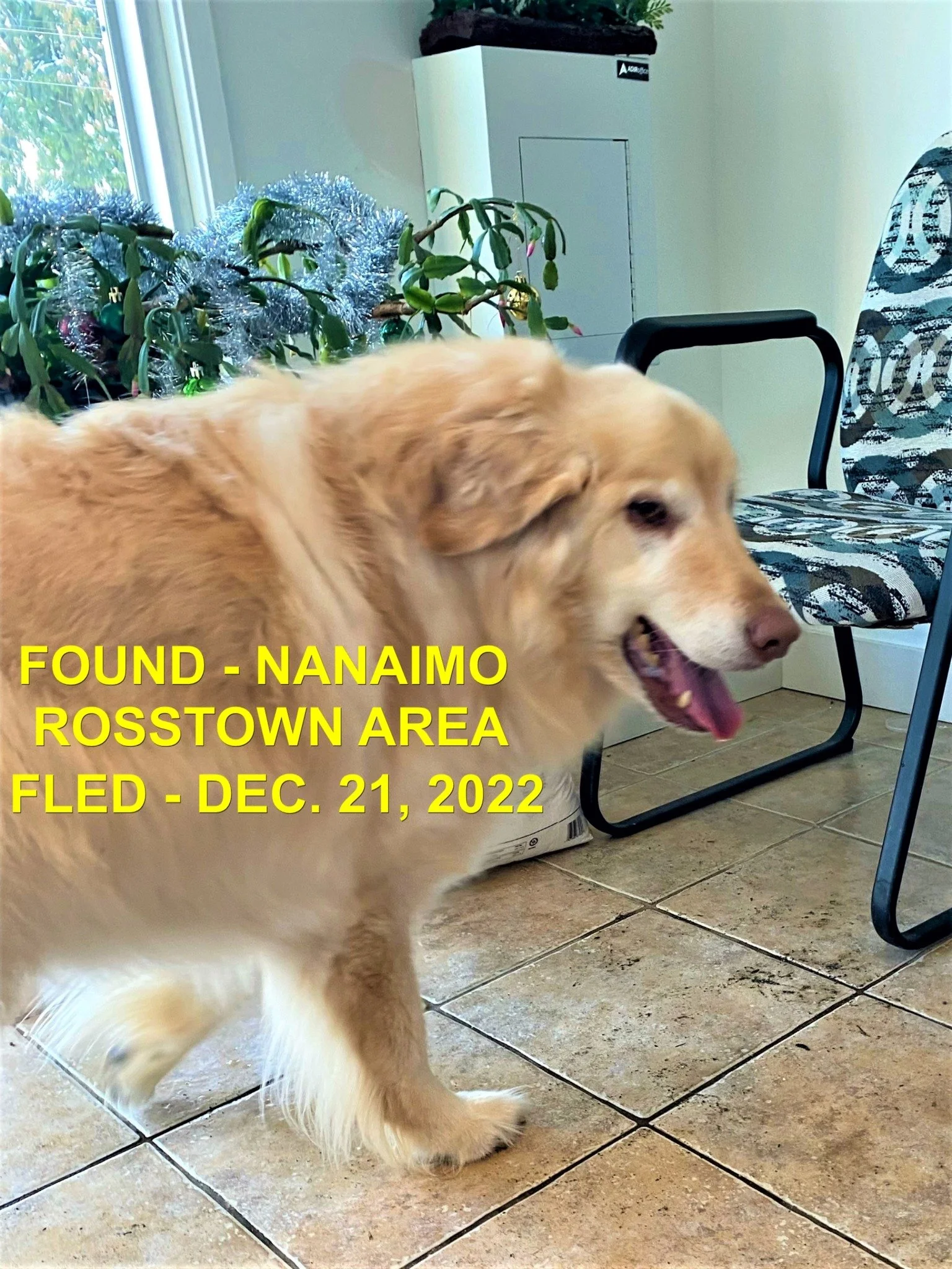 HAPPY ENDINGS - NANAIMO BC. / DEC. 21, 2022