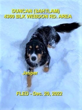 HAPPY ENDINGS - DUNCAN BC. / JASPER / DEC. 20, 2022