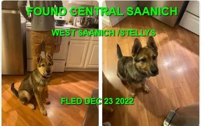 HAPPY ENDINGS - CENTRAL SAANICH BC. / DEC. 22, 2022